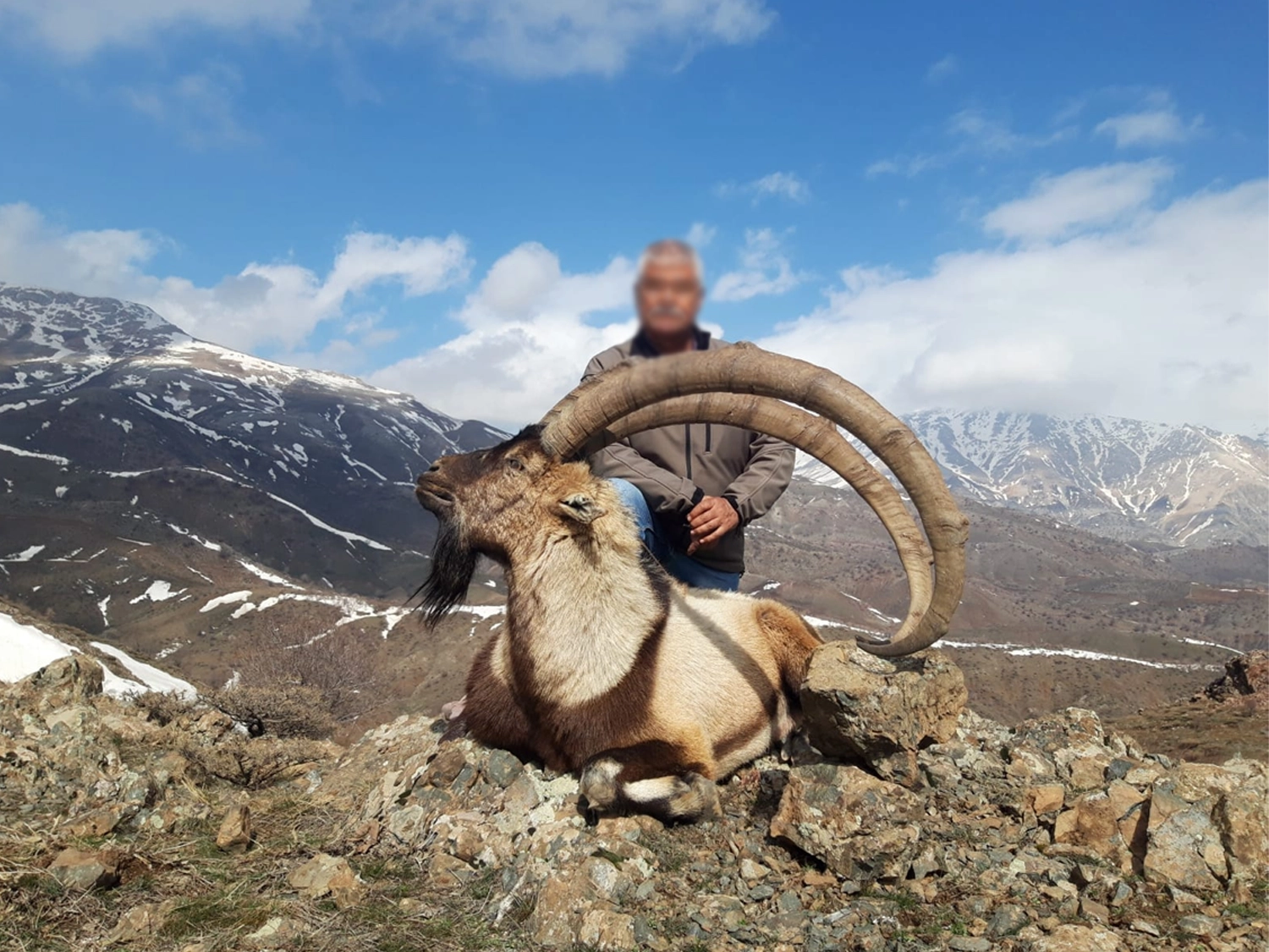 Yaban Keçisi Avı